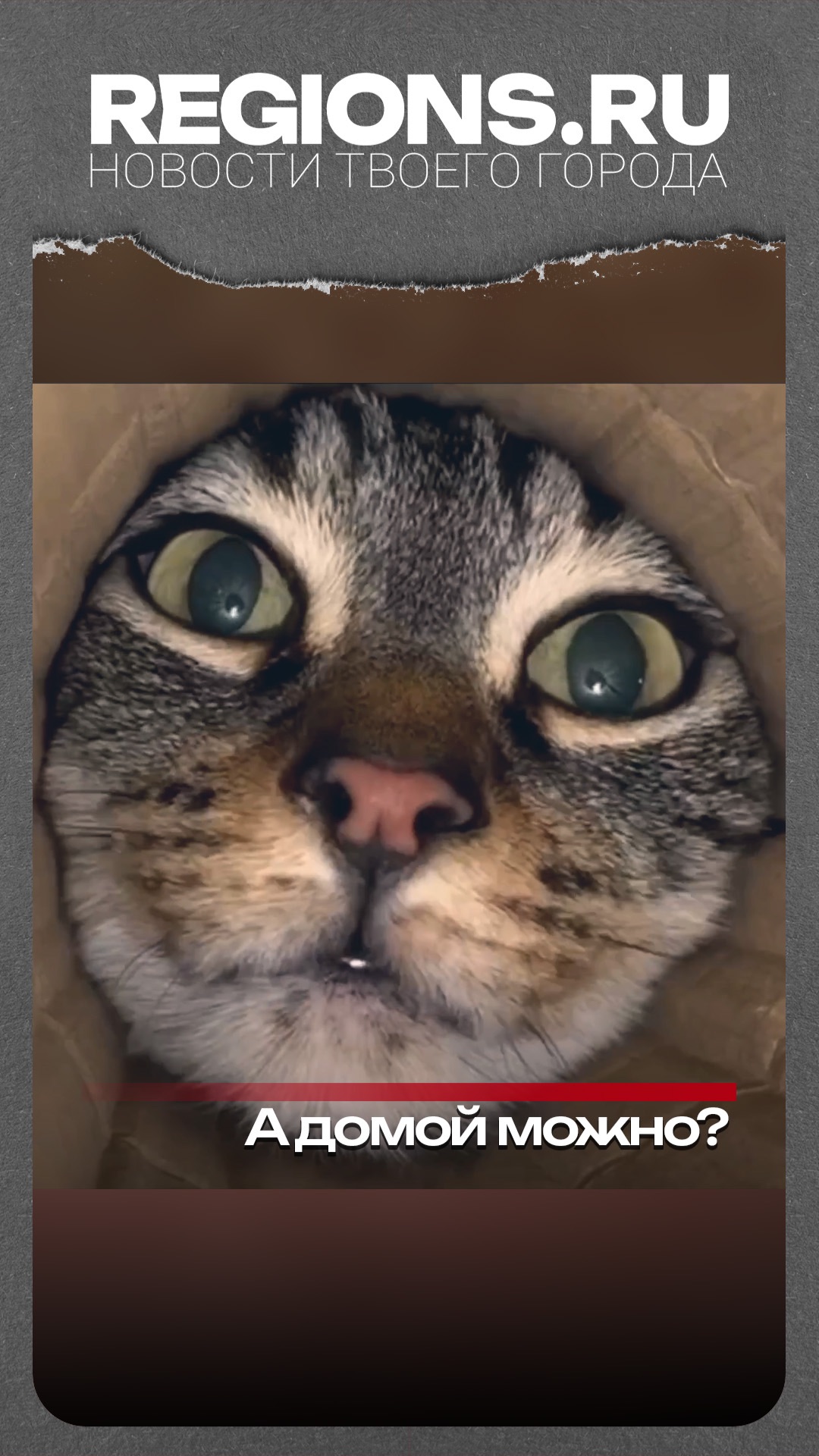 а домой можно?