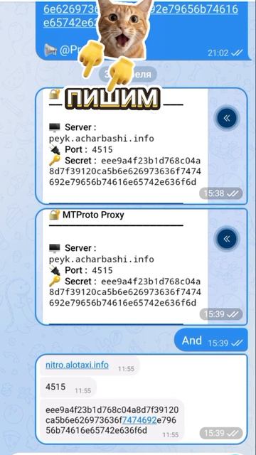 Что делать?