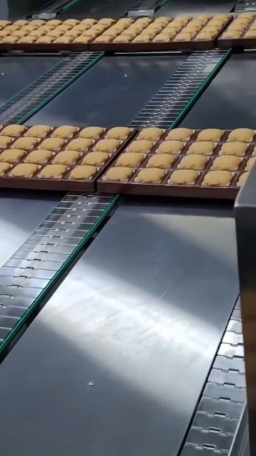 Haaschi Cake Machine Egg Crack Cream Depositor Aerator Mixer (5)