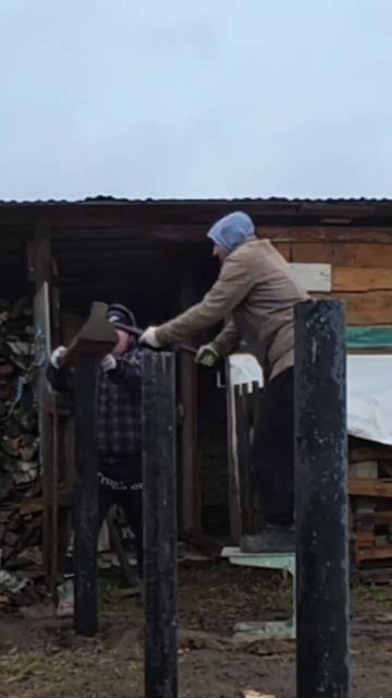 Спасибо братцы за помощь 🤝🤝🤝 С меня казан 🫖 🐂  #домдлябыка #строимсарай #сарай