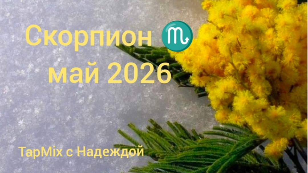 Скорпион ♏, май 2026