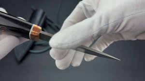 Лев в твоем кармане