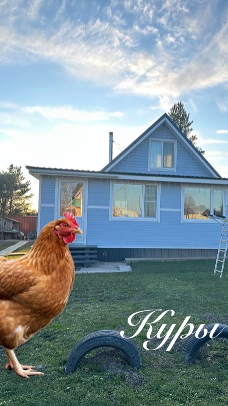 Дом в деревне Нагорное