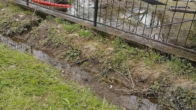 30.04.2026.Ляховский край.Уно-Моменто!25/7/365. Губернаторский. Ляхово TиVи. Усадьба Парк Кинематогр