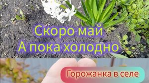 Скоро май. А пока холодно.