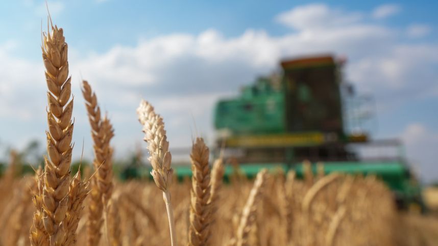 «Есть определенные проблемы»: как температурные качели повлияют на урожай