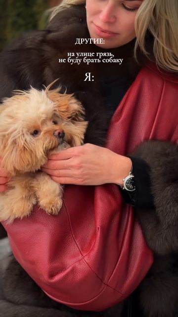 Сумка переноска слинг для собак Tesoro Collezione