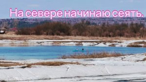 Жизнь на севере в посёлке) СЕЮ, но пока в теплице))