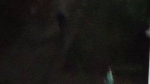 жуткое видео 2