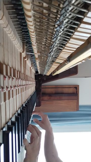 К Элизе Моцарт любительская игра