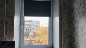 арбуз деревня счастье