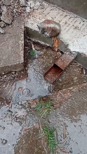 Вторая часть.mp4