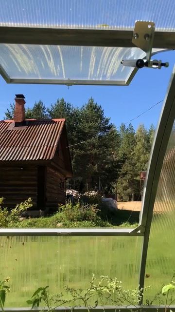 Для чего нужен термопривод на теплицу парник?