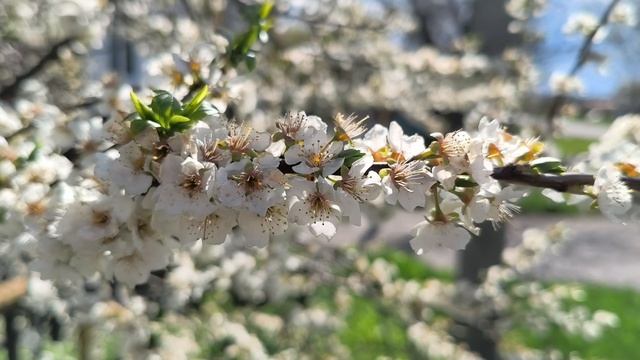 Красота в глазах смотрящего