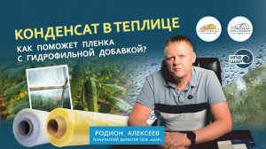 Конденсат в теплице |  Как с ним бороться и как поможет пленка с гидрофильной добавкой?
