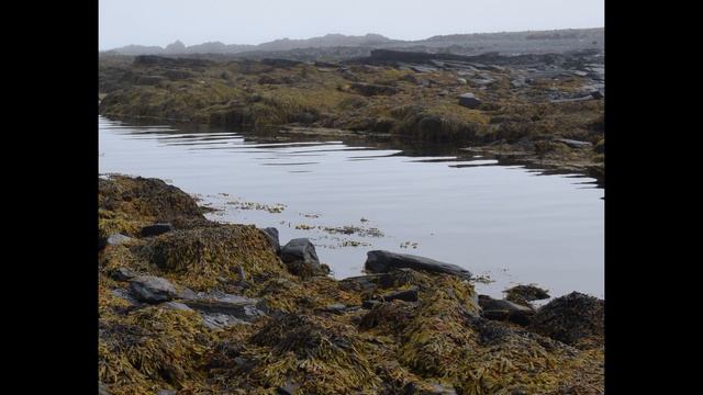 Полуостров Рыбачий часть 6 Мыс Немецкий фото