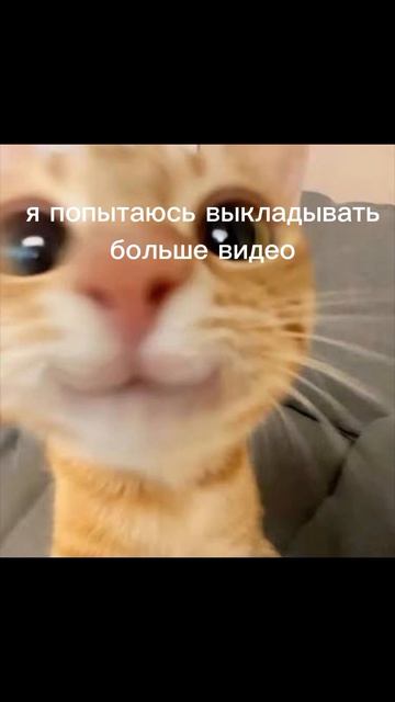 спустя почти год я вернулась..🥹
