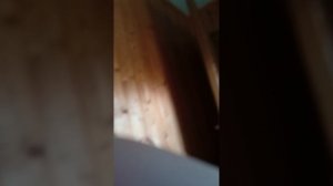 информация от меня.