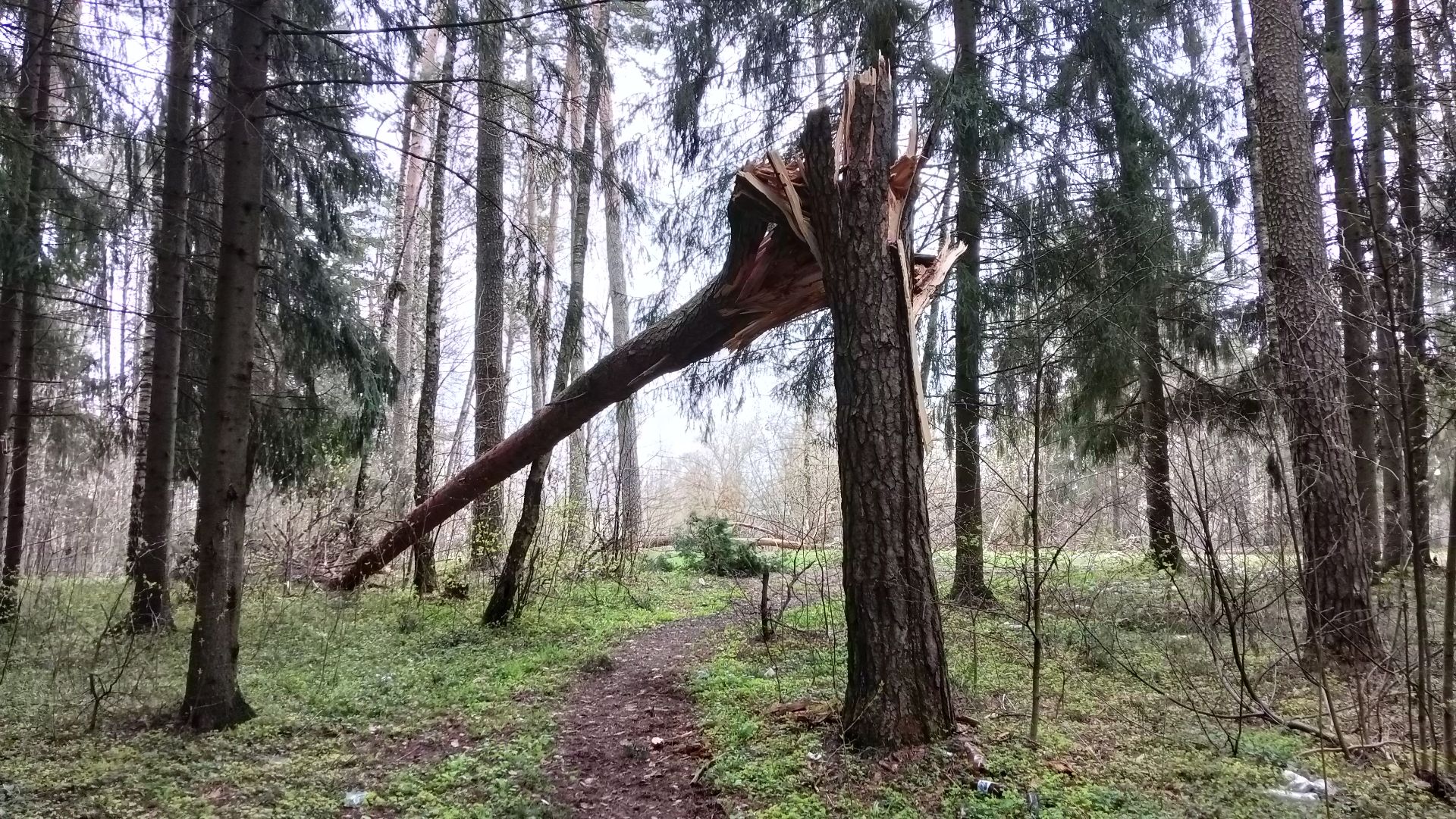Человек раковая опухоль на теле земли. - 330
