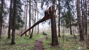Человек раковая опухоль на теле земли. - 330