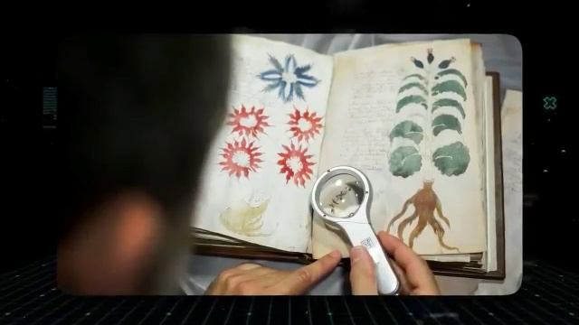 Тайна рукописи Войнича разгадана… Но перевод оказался неожиданным