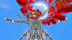 С 1 МАЯ!!! Поздравление с Праздником Весны 5 от Киностудии Мудрого Кота Тимофея!