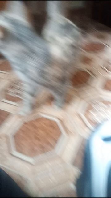 школа котов 3 часть