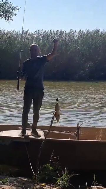 рыбалка #fishing #карась #астраханьрыбалка #астраханьрыбалка #рыбалка