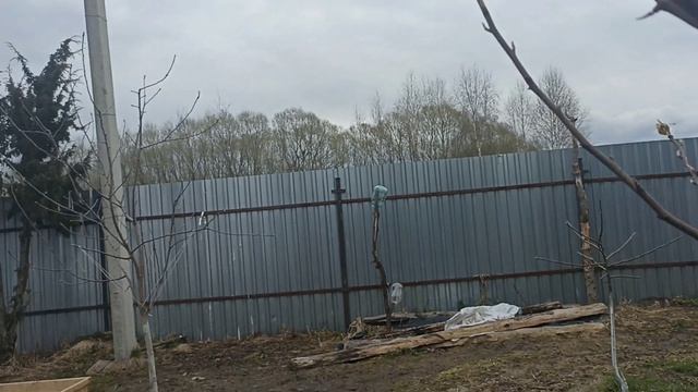 30.04.2026 Котики, гриб, яйца мыть, или не мыть