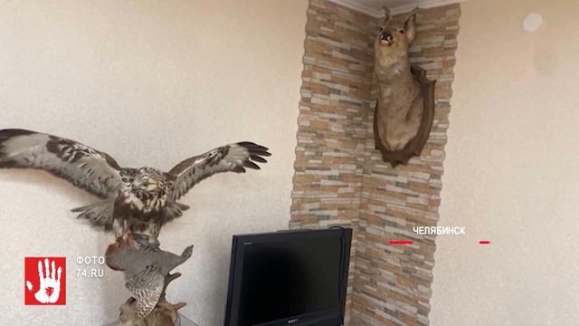 Экс-главе челябинского Роспотребнадзора вменили новый эпизод - незаконный бизнес через родственников