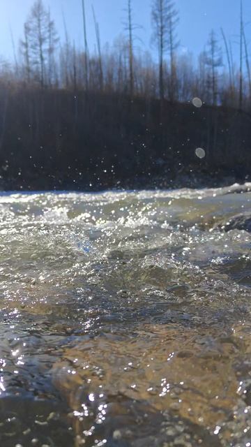 Река Иркут в районе Монд