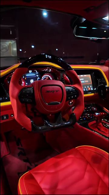 Cat55-Ритм🎶🎧