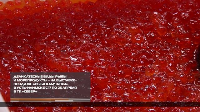 Деликатесные виды рыбы и морепродукты – на выставке-продаже «Рыба Камчатки» в Усть-Илимске 24-04-202