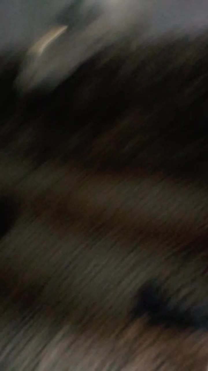 показываю что я сделал