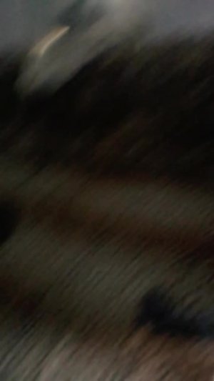 показываю что я сделал