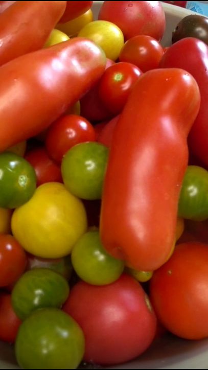 Когда помидоров много, устаешь их перерабатывать