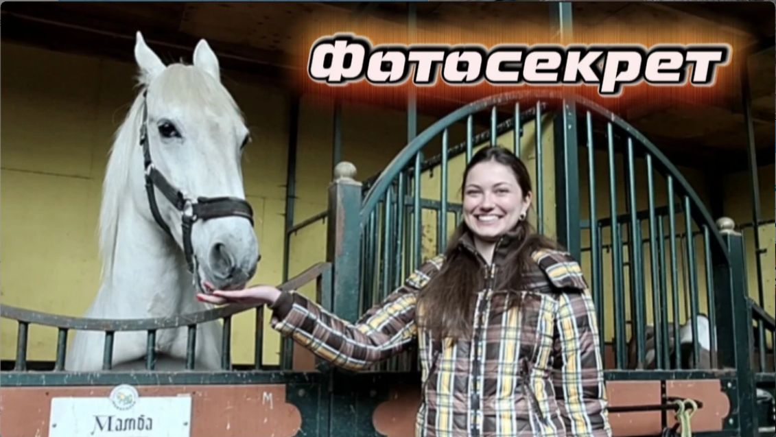 Как сделать фото с лошадью чтобы оно получилось естественным красивым и безопасным? - Новополье
