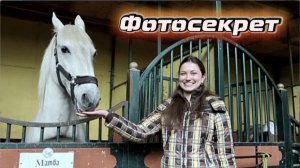 Как сделать фото с лошадью, чтобы оно получилось естественным, красивым и безопасным? - «Новополье»