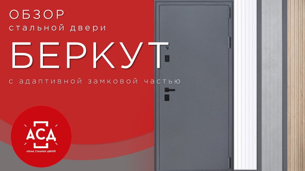 Стальная дверь Беркут адаптивная замковая часть