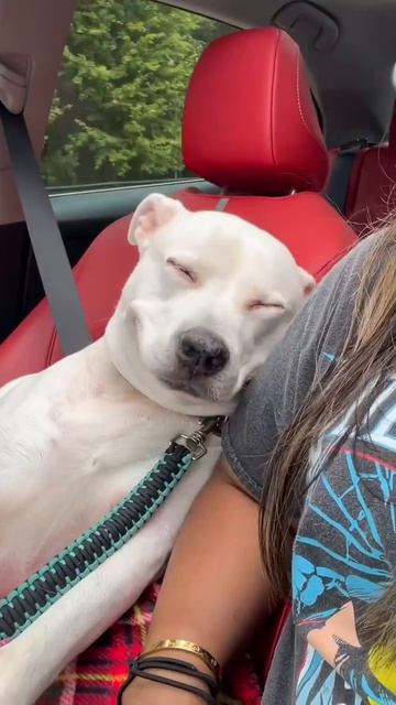 В любой ситуации - улыбайтесь 🙂))