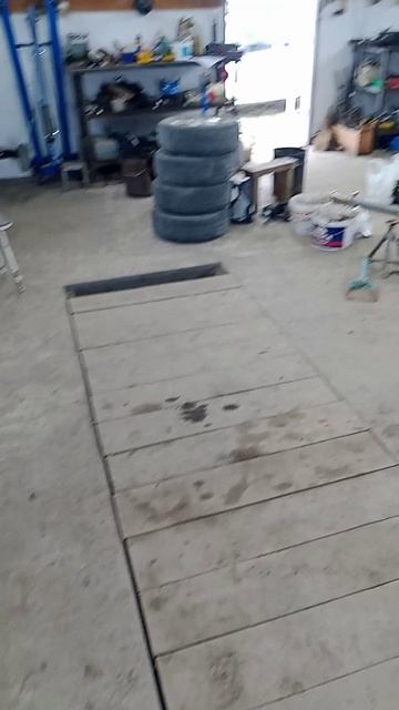 коза радостно скачет при встрече