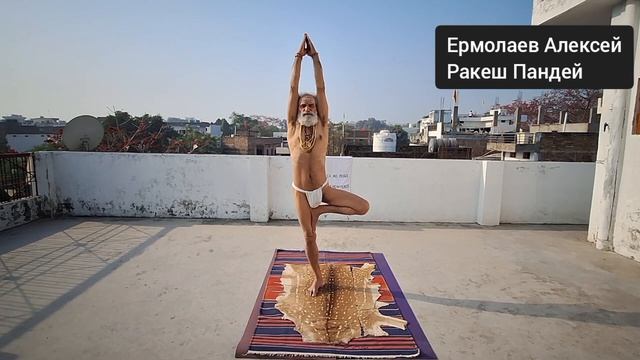 Асаны и Сукшма вьяямы под чтение Йога сутр на санскрите. Гуру Ракеш Пандей