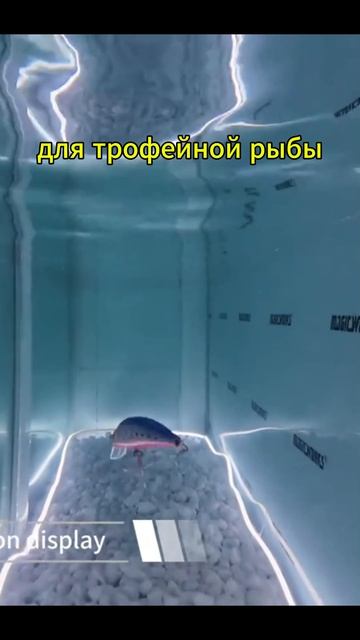 Копия - Maria The First 140F - для рыбалки на крупную рыбу - на неглубоких участках - воблер с Али