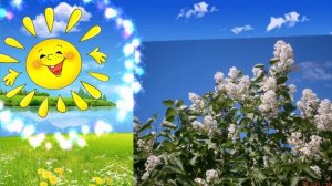 74. =ВЕСНА=. Сл. А. Зенцов, муз. и исп. В. Захарцев.