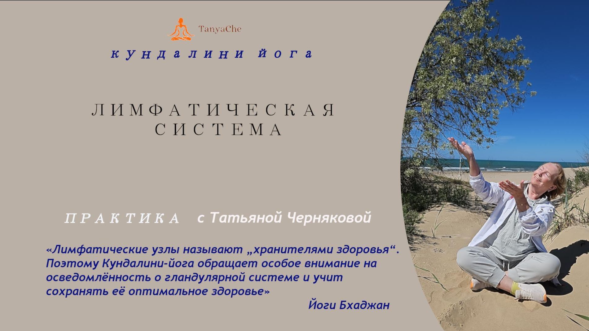 Лимфатическая система4