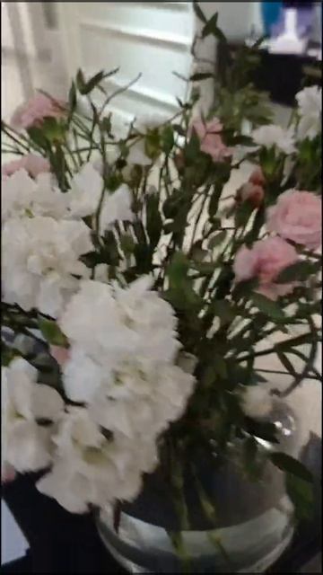 Дни красоты бренда Ladoleay