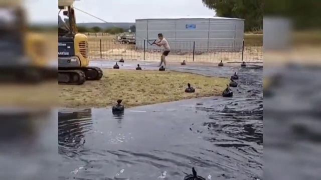 Приколы стройка