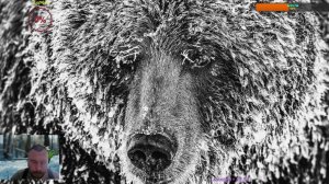 Розыгрыш - Медвебоксы! Апрель финал (Vikings War of Clans!)