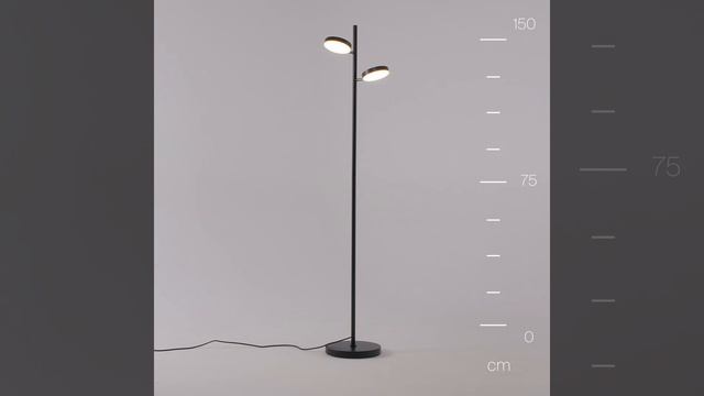 Светильник Maytoni Fad MOD070FL-L12B3K