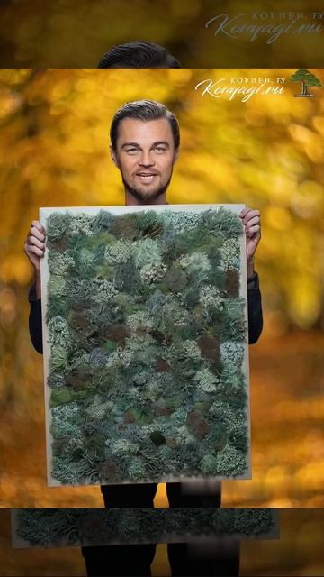 Панно из Цетрарии